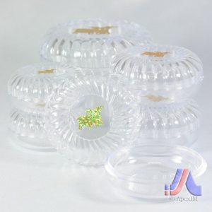 Astrology Accessories Organizer