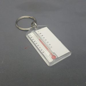 THERMOMETER KEY CHAIN