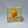 Acrylic Paper Weight Brain Design