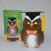 Wise Owl Coin Bank