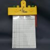 GOLF SCORE RECORD