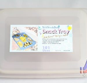 SNACK TRAY W/ COVER