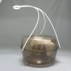 FLY & WASP TRAP