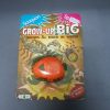 Grow Up Big Scorpion