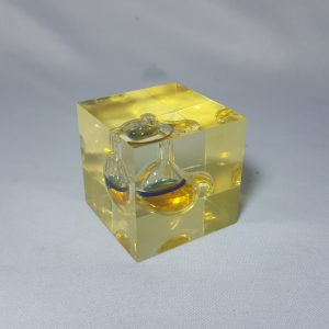 Acrylic Paperweight Stomach Design