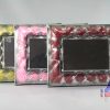 ROSE PETALS MIRROR