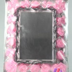 ROSE PETALS MIRROR