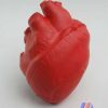 SOFT HEART VALVE STRESS RELIEVER FRONT