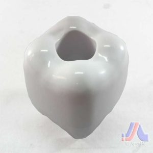 TOOTH DISPENSER