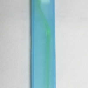 Toothbrush With Case
