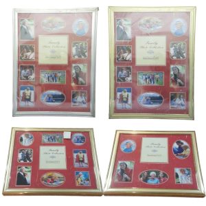 Family Photo Collection ( Silver or Gold)